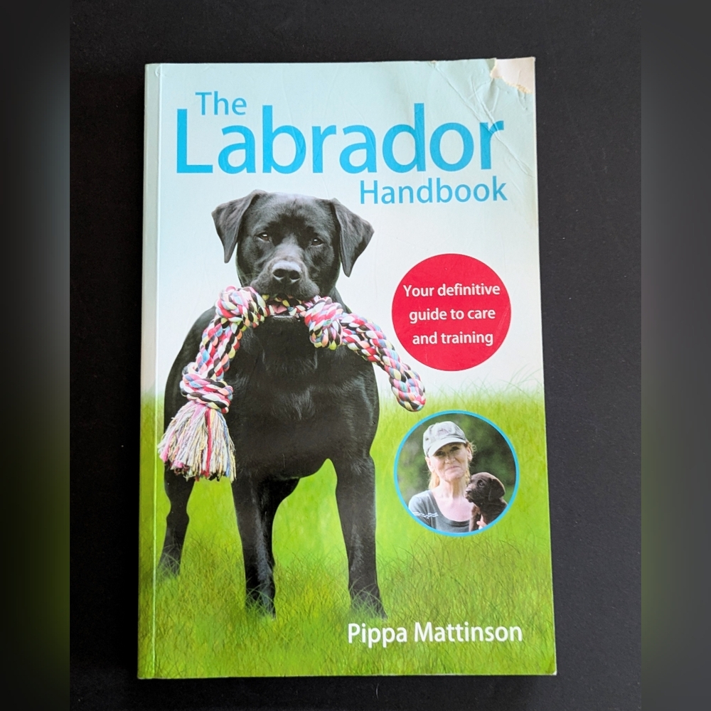 The Labrador Handbook Guide to Care and Training Pippa Mattison Used as is Dogs